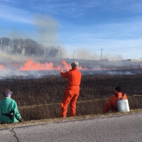 Prescribed burn fall 2017 (Photo: A.Dusick)