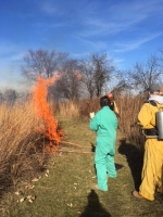 Prescribed burn fall 2017 (Photo: A.Dusick)